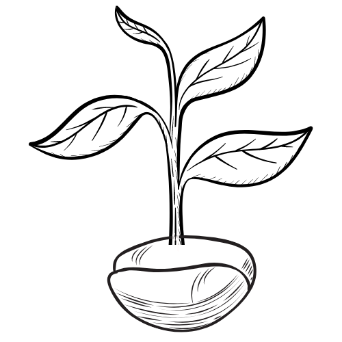 mv cafe Moving East in white text in front of a grey background with a compass.